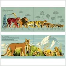 Cargar imagen en el visor de la galería, Puma con color