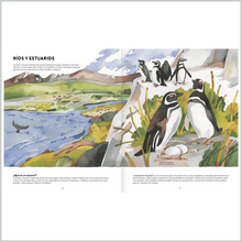 Cargar imagen en el visor de la galería, Patagonia